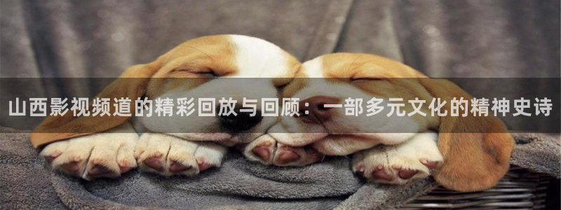 桃子影院在线观看